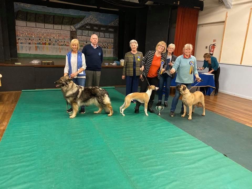 Handlers and their dogs with rosettes and a trophy at a club show in a village hall