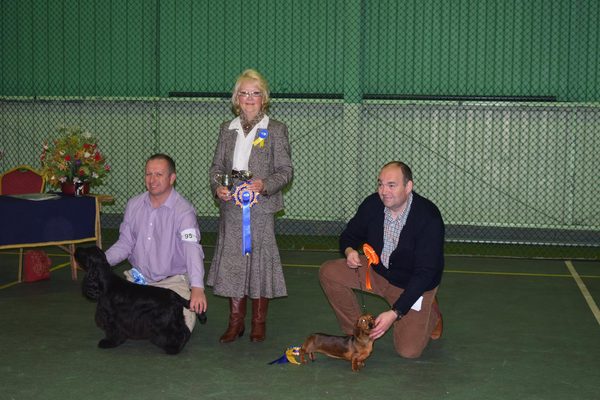 A judge with two dogs and their handlers holding rosettes